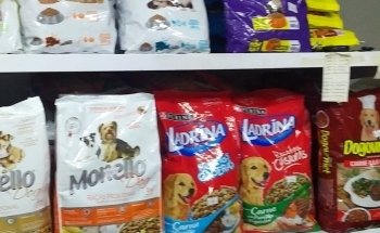 Mundo Mascotas