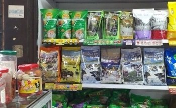 Mundo Mascotas