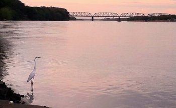 Rio Claro Natural Reserve