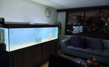 ACUARIO BOGOTÁ