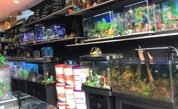 ACUARIO BOGOTÁ
