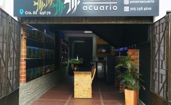 Pezera Aquarium