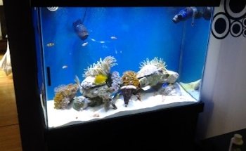 Aquastore Bogotá