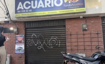 ACUARIO FONDOACUÁTICO