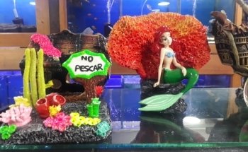 ACUARIO FONDOACUÁTICO