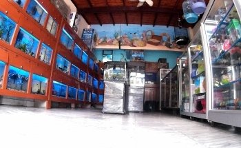 Acuario El Calamar