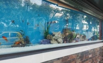 Acuario El Calamar