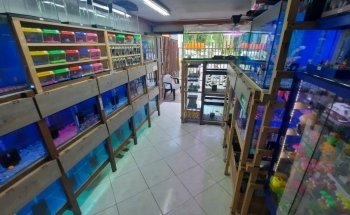 AQUAFISH AQUARIUM MEDELLIN