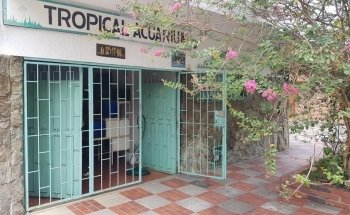 Tropical Aquarium