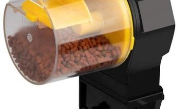 ACUARIOS DEL REALPE - peces, acuario y decoración. (aQua Color)