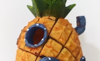 ACUARIOS DEL REALPE - peces, acuario y decoración. (aQua Color)