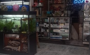Isla bonita hj