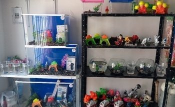 The Fat Fish Aquariums