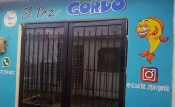 Acuarios el pez gordo