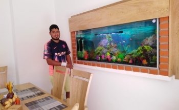 Acuarios el pez gordo