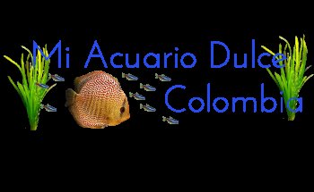 Mi Acuario Dulce