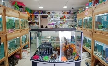 Anchor Aquarium