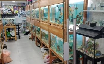 Acuario El Ancla