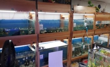 Acuario El Ancla