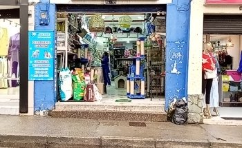 Acuario el pez que fuma