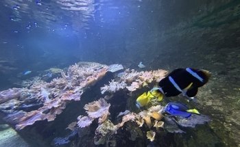Aquarium