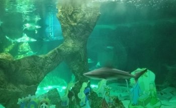Aquarium