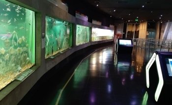 Acuario del Río Paraná