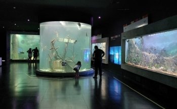Paraná River Aquarium