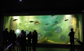 Acuario del Río Paraná