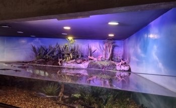 Acuario del Río Paraná