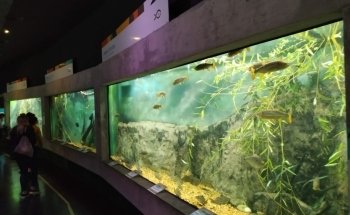 Acuario del Río Paraná