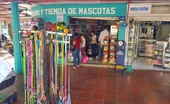 Arte Acuarios