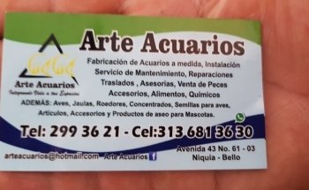 Arte Acuarios