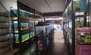 Tropical Aquarium Medellín