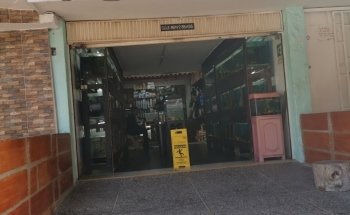 ACUARIO TROPICAL MEDELLÍN