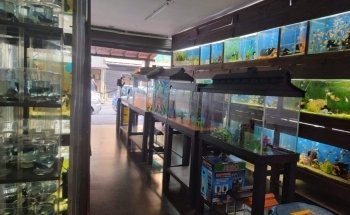 ACUARIO TROPICAL MEDELLÍN
