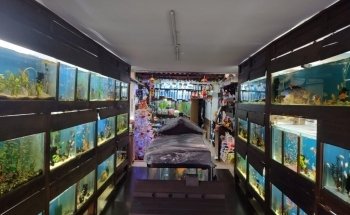 ACUARIO TROPICAL MEDELLÍN