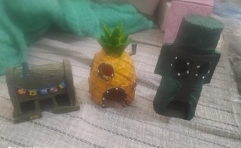 El Rincon Del Pez