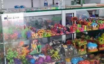 Acuario Acuamazonicos