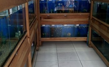 Acuario J.Y.C.