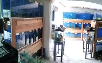 Acuario J.Y.C.
