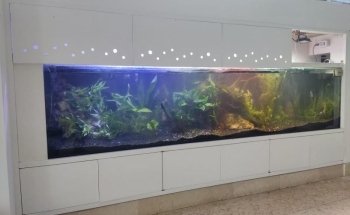 Aquacubes