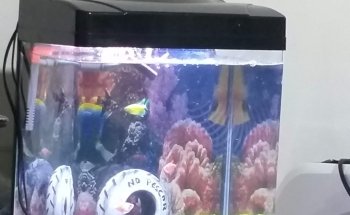 Florist accessories Barranquilla