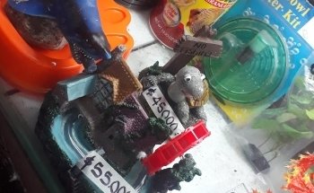 Florist accessories Barranquilla