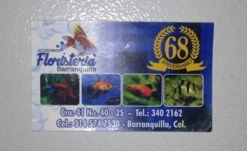 Florist accessories Barranquilla