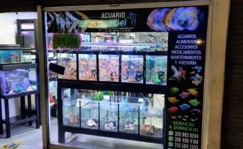 Acuario Jaasiel