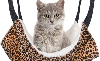 Pet Shop | Centro Pet Argentina | Veterinaria