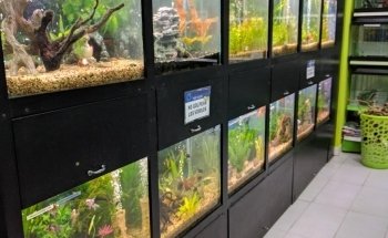 Pet Shop | Centro Pet Argentina | Veterinaria