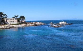Monterey Bay Aquarium