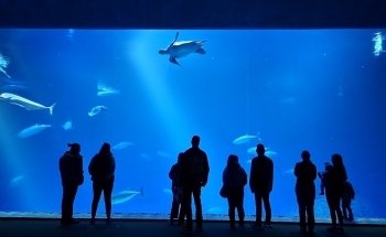 Monterey Bay Aquarium